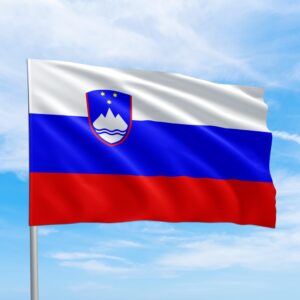 Словенская виза