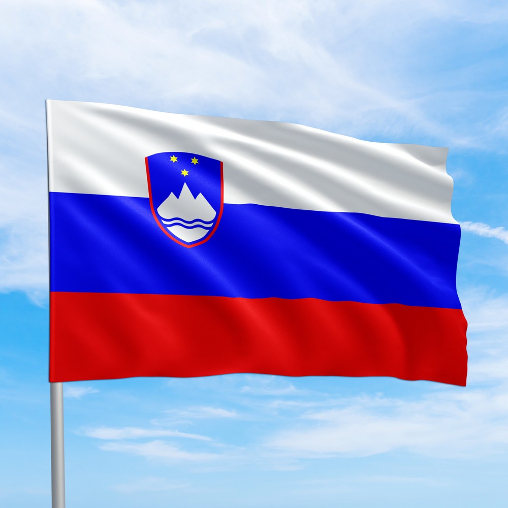 Словенская виза